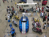 Viper surrounded by bikes